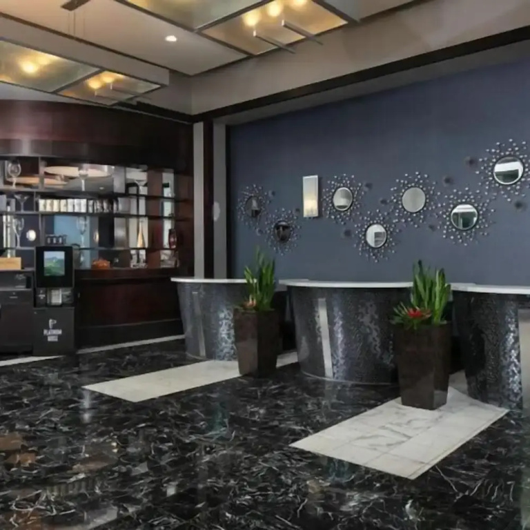 StripViewSuites at Platinum, photo 2