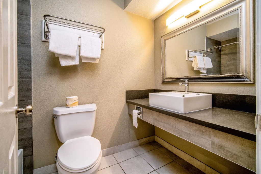 Regency Inn & Suites — photo 7