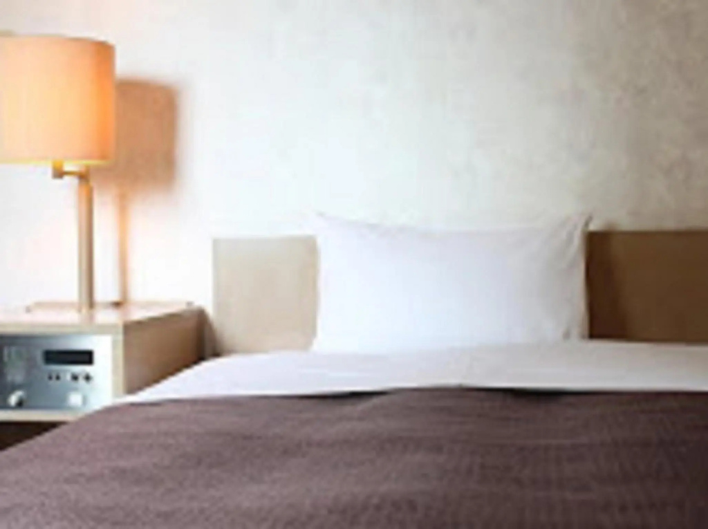 HOTEL LiVEMAX Fuchu Annex, photo 3