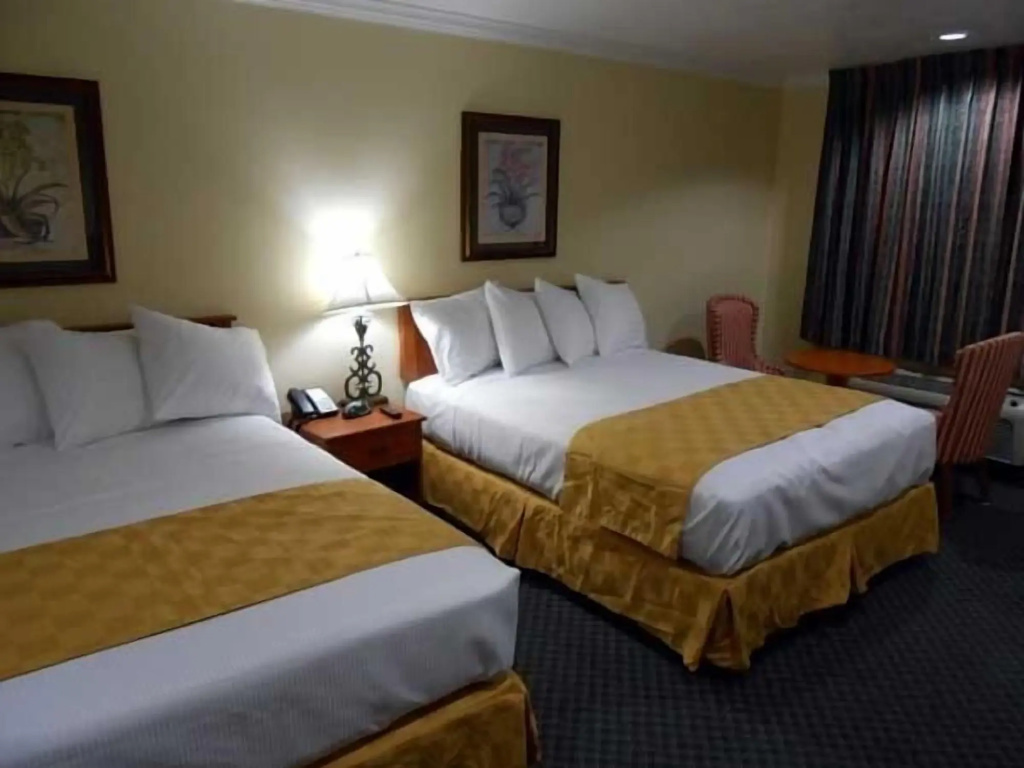 Best Inn & Suites, photo 5