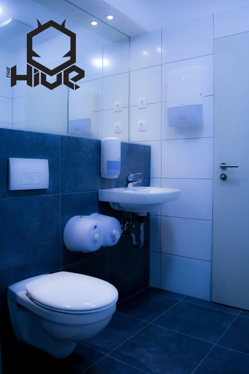 The Hive Party Hostel — photo 7