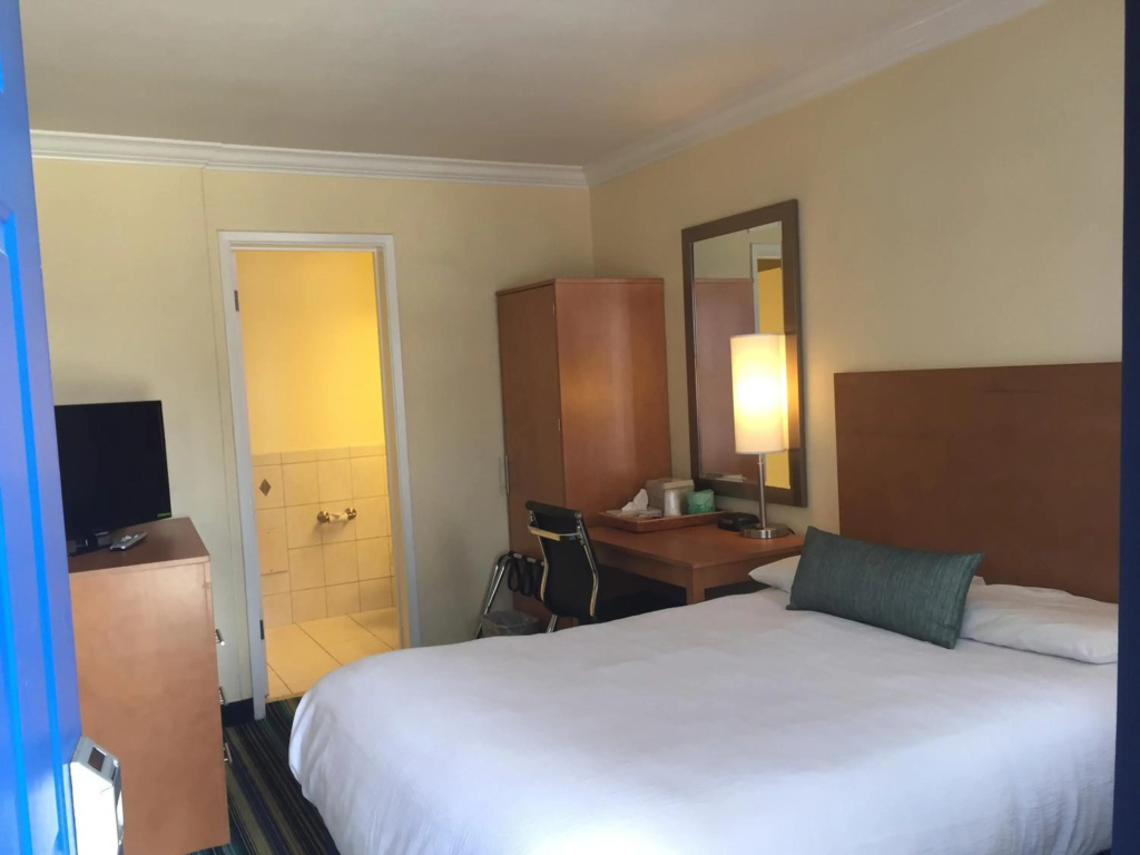 Surf Motel, photo 4