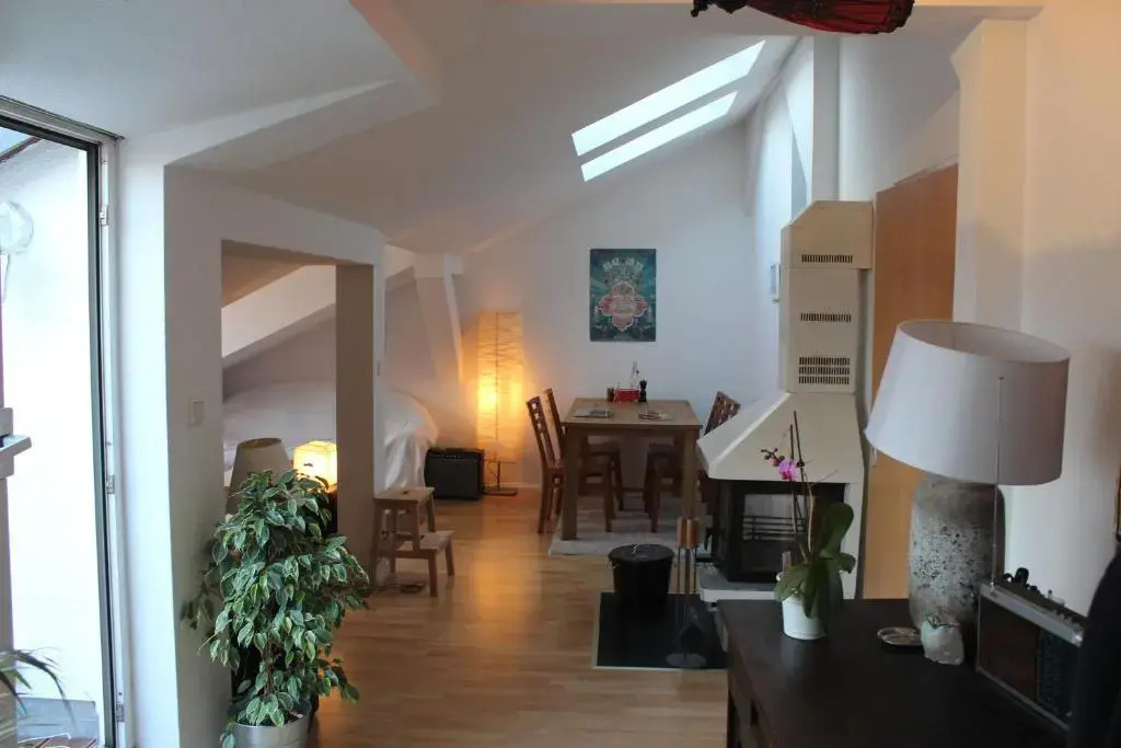Rooftop Loft Berlin Mitte and Bikes, photo 2