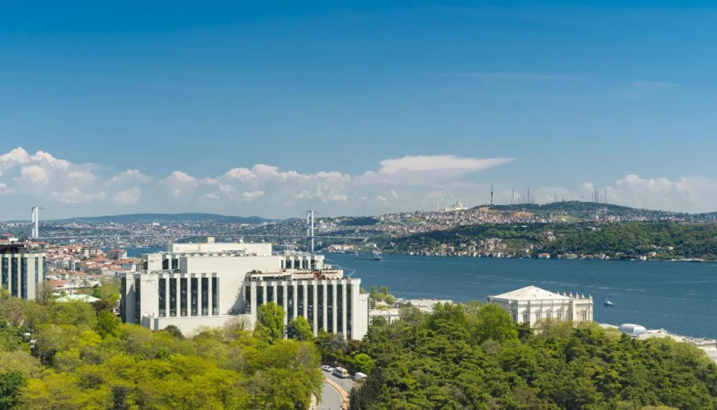 Hotel The Ritz-Carlton, Istanbul. — photo 6