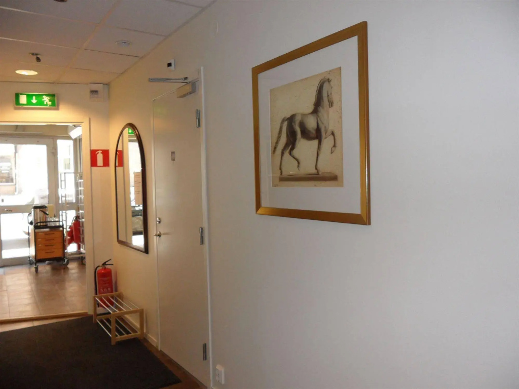 3 Star Hostel — photo 8