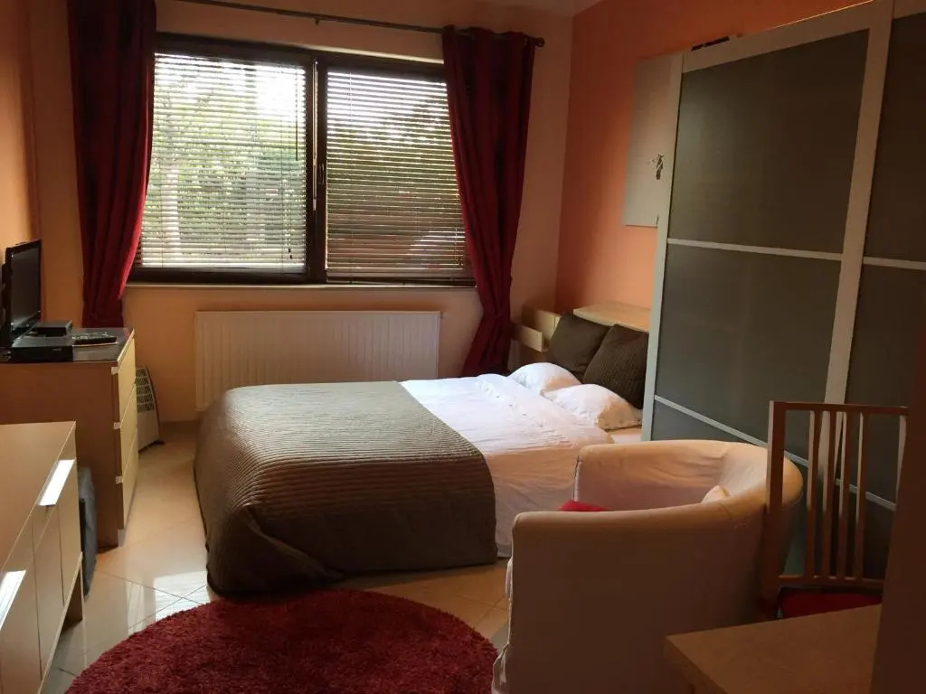 Residence la Fraisiere, photo 3