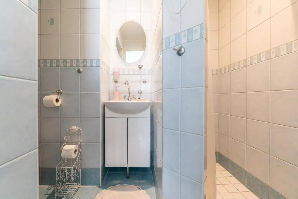 Videviku Villa — photo 8
