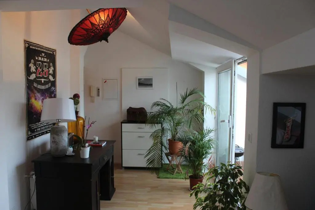 Rooftop Loft Berlin Mitte and Bikes — photo 7