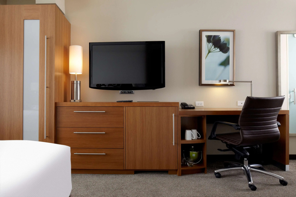 Hyatt Place Chicago-South/University Medical Center, photo 3