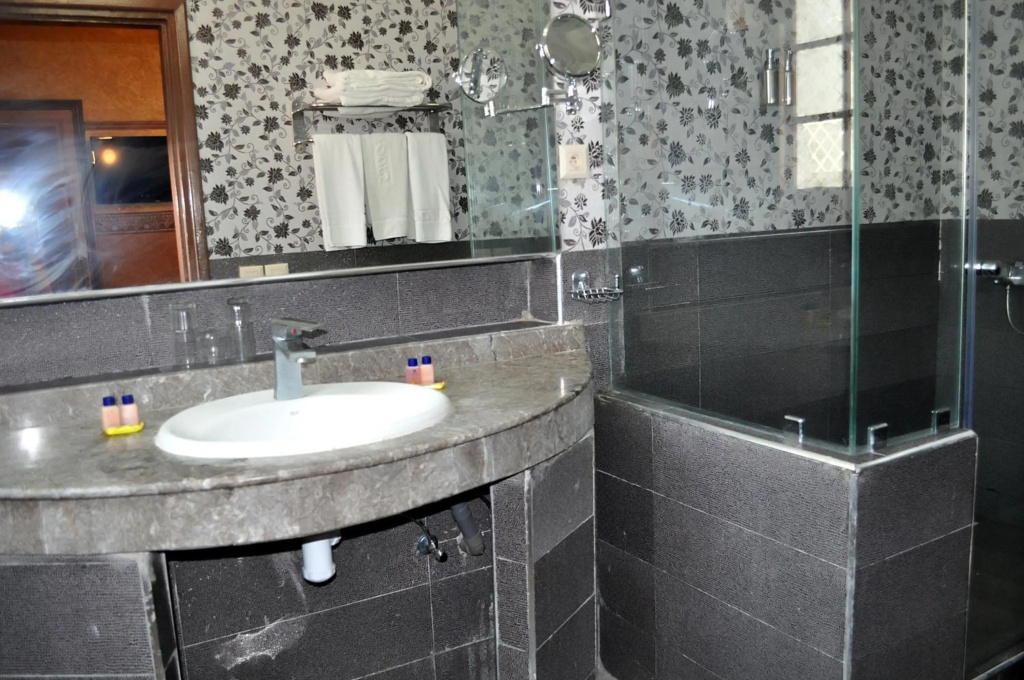 Hotel Transatlantique — photo 8