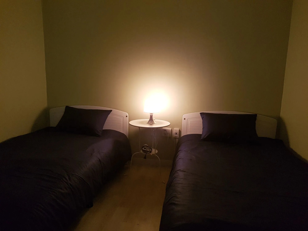 SEOUL FOREST STAY - Hostel, photo 3