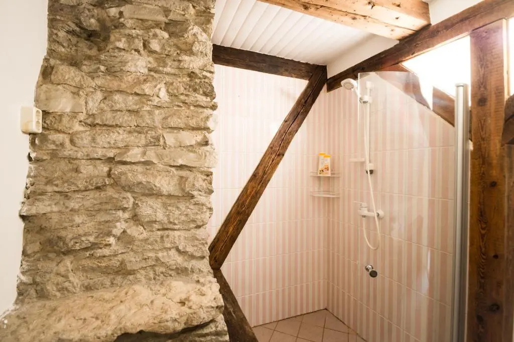 Tallinn City Apartments Luxury 4 Bedroom with Terrace And Sauna — photo 7