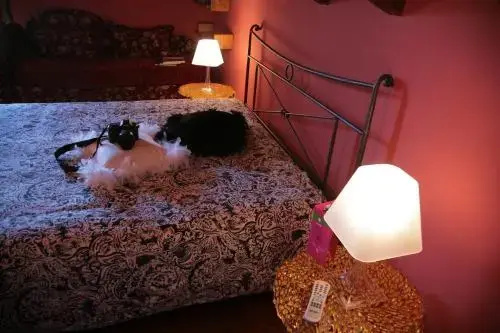 Bed and Breakfast Villa Nella, photo 4
