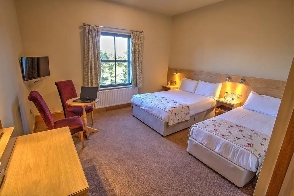 The Lucan Spa Hotel, photo 2