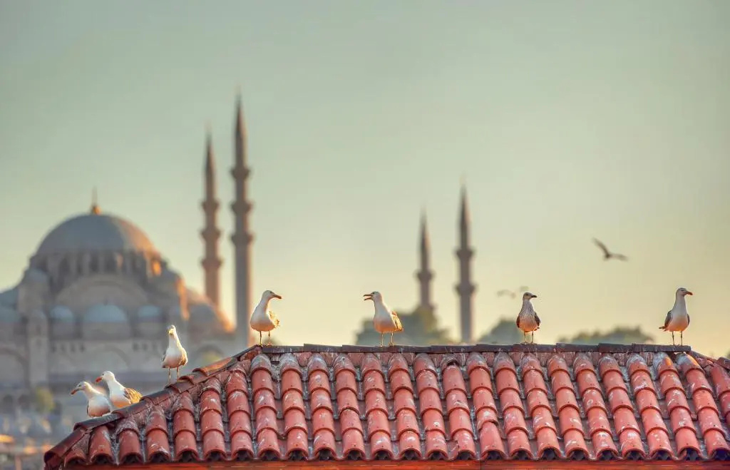 Duru Apart Istanbul — photo 8