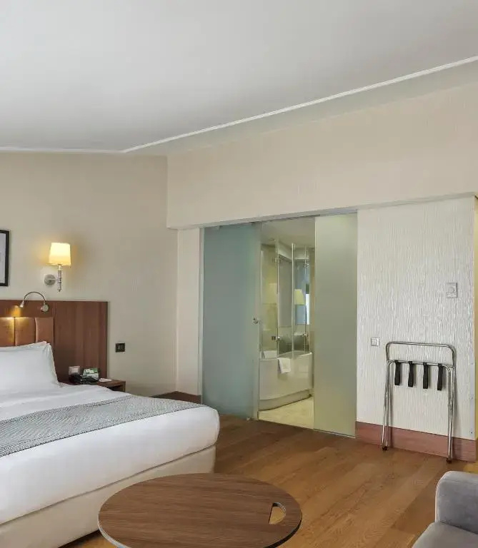 Holiday Inn Istanbul - Old City by IHG — photo 8