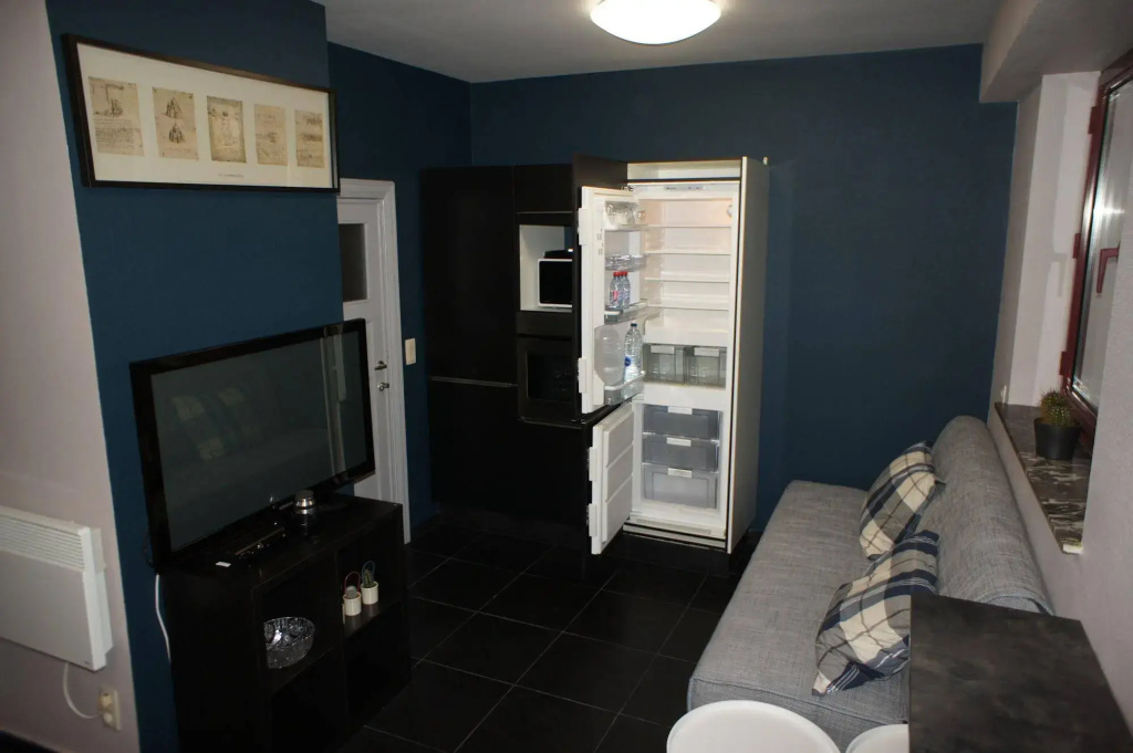 J and R Brussels City Apartment, photo 4