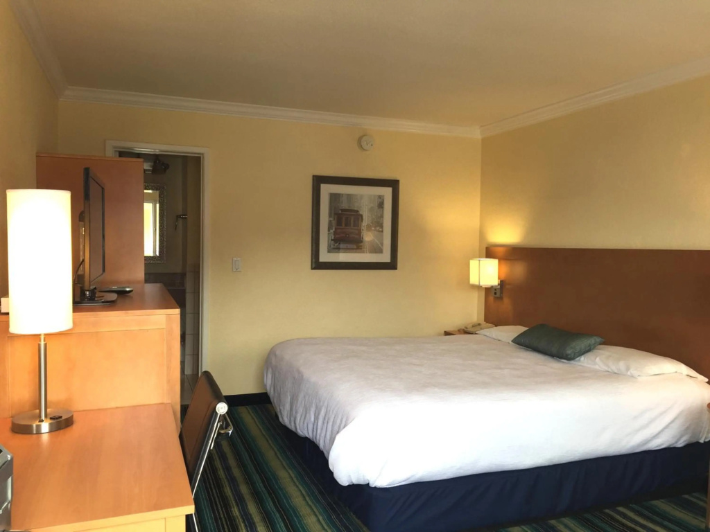 Surf Motel, photo 5
