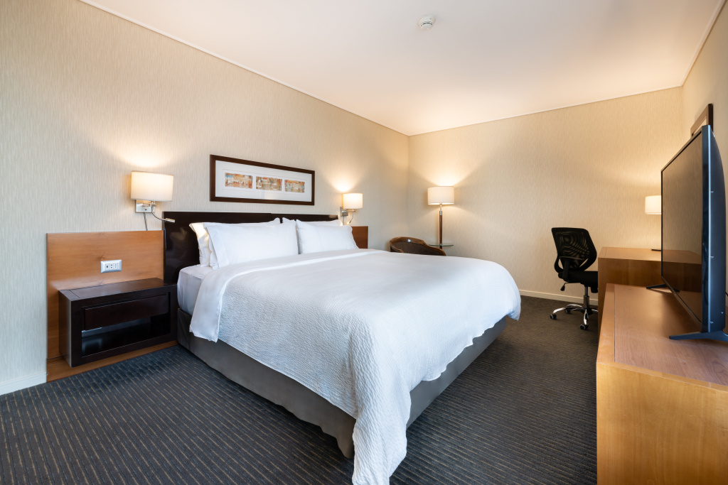 Holiday Inn Express Santiago Las Condes by IHG — photo 6