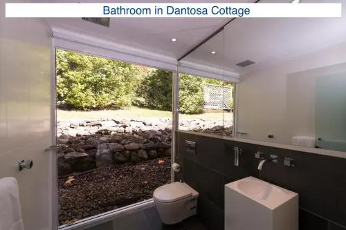 Dantosa Blue Mountains Retreat, photo 4