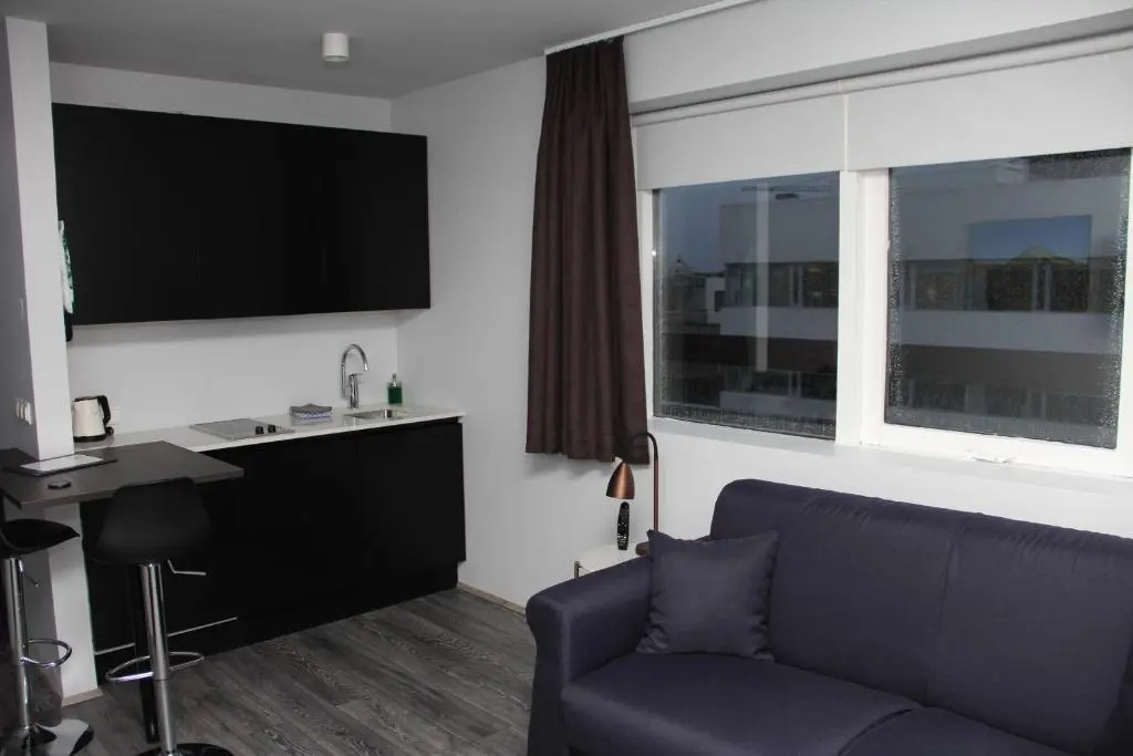 Svala Apartments by Heimaleiga, photo 4
