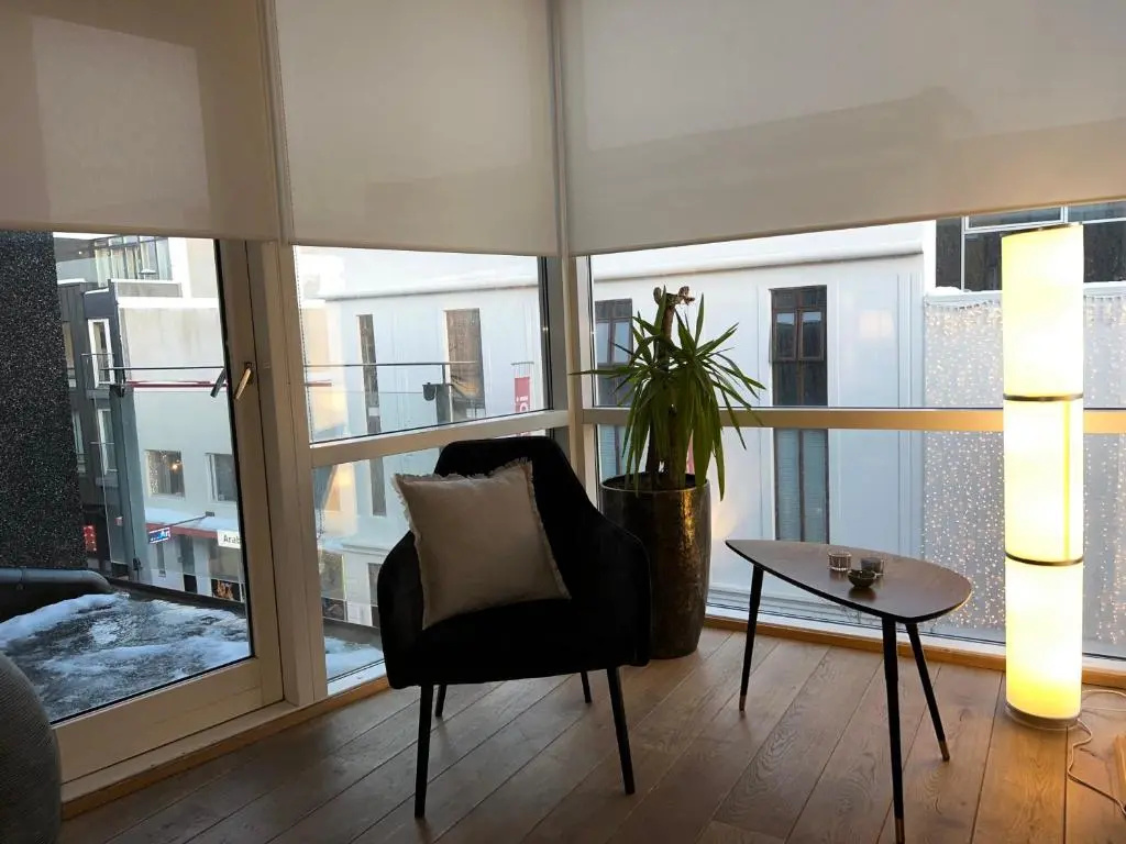 Baldursbrá Apartment Laugarvegur, photo 3