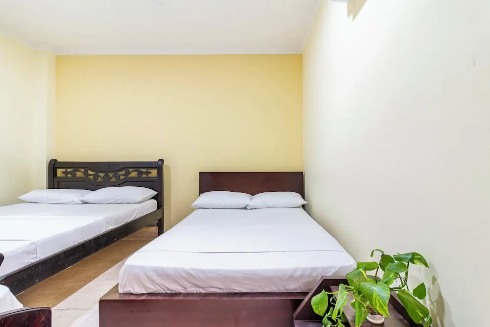 Hostal Cartagonova — photo 4