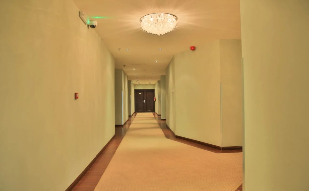 Magnolia Addis Hotel — photo 7