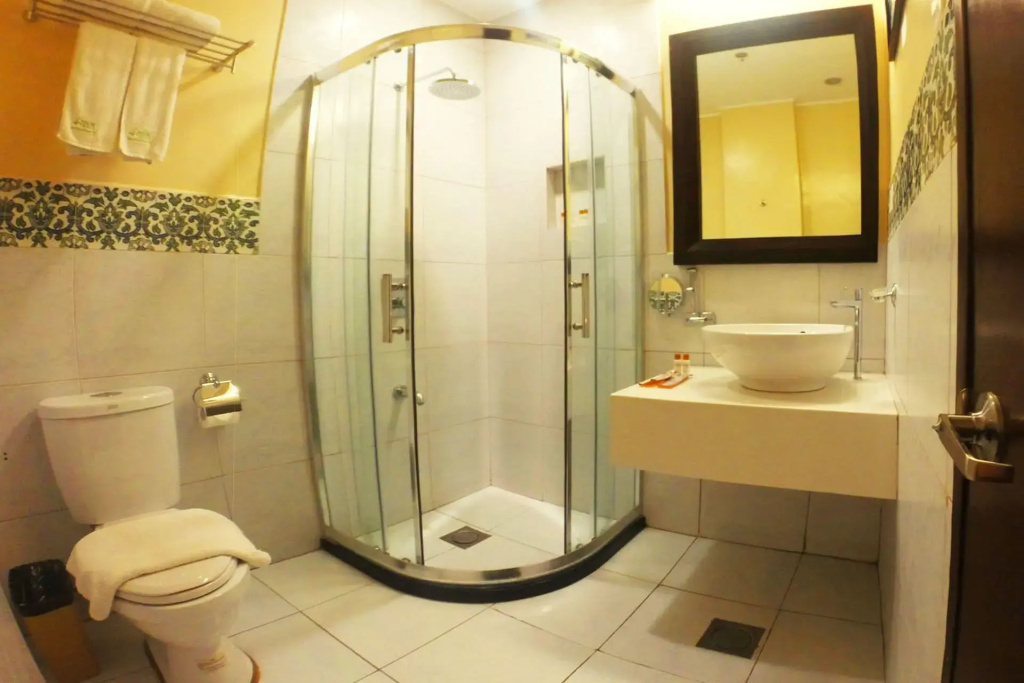 Palm Grass Hotel — photo 8