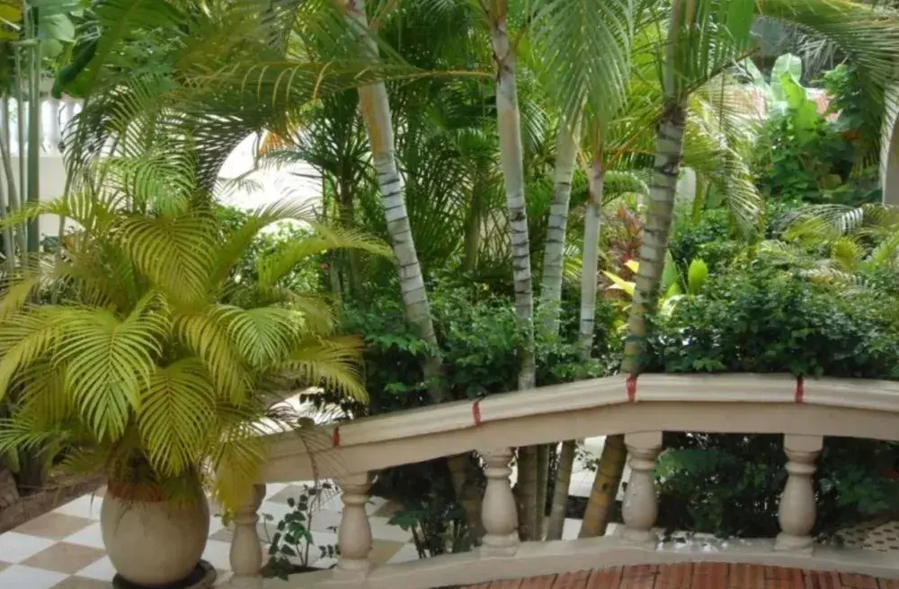 Sermaho Residence - Adults Only — photo 3