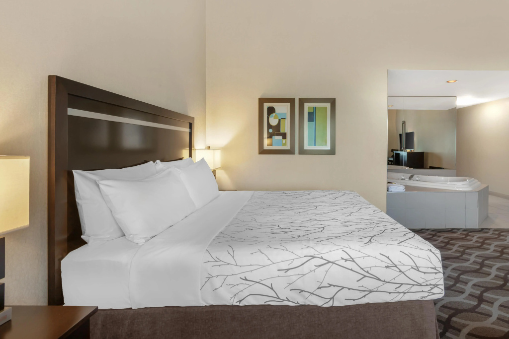 Best Western Plus Travel Hotel Toronto Airport, photo 3