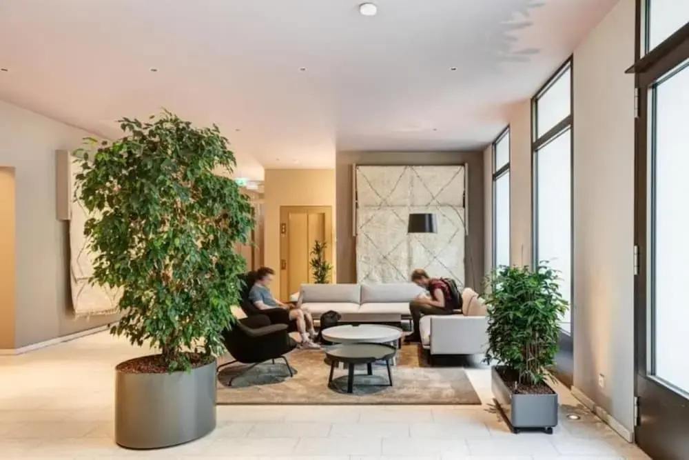 Arbio I Luxury Apartments — photo 2
