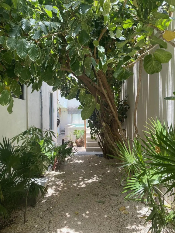 Casa Cielo Cancun — photo 6