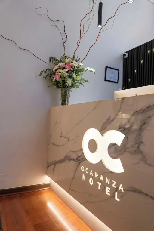 H Ocaranza, photo 4