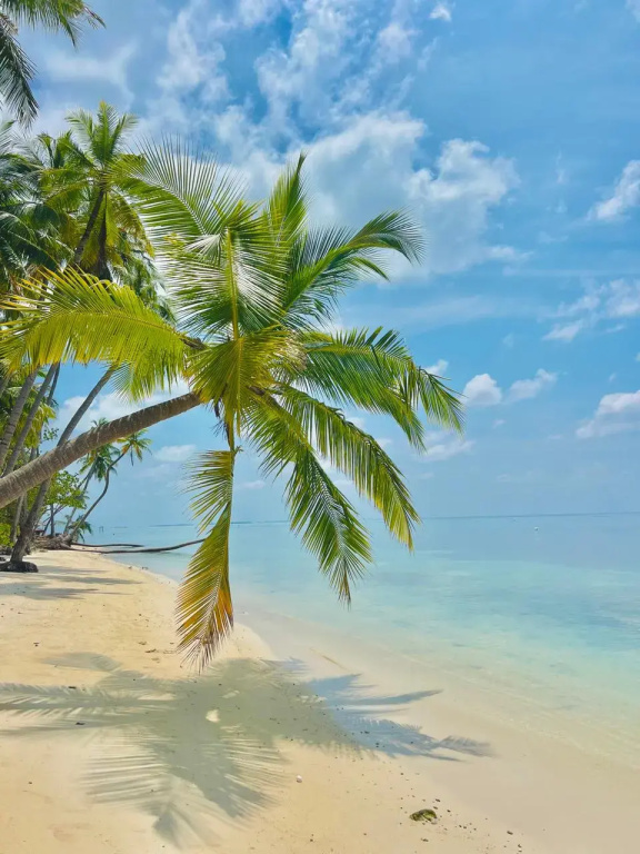 Holiday Home Dhiffushi Hotel — photo 8