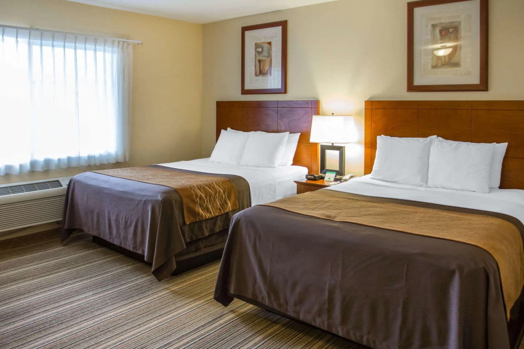 Comfort Inn Cockatoo near LAX Airport, photo 4
