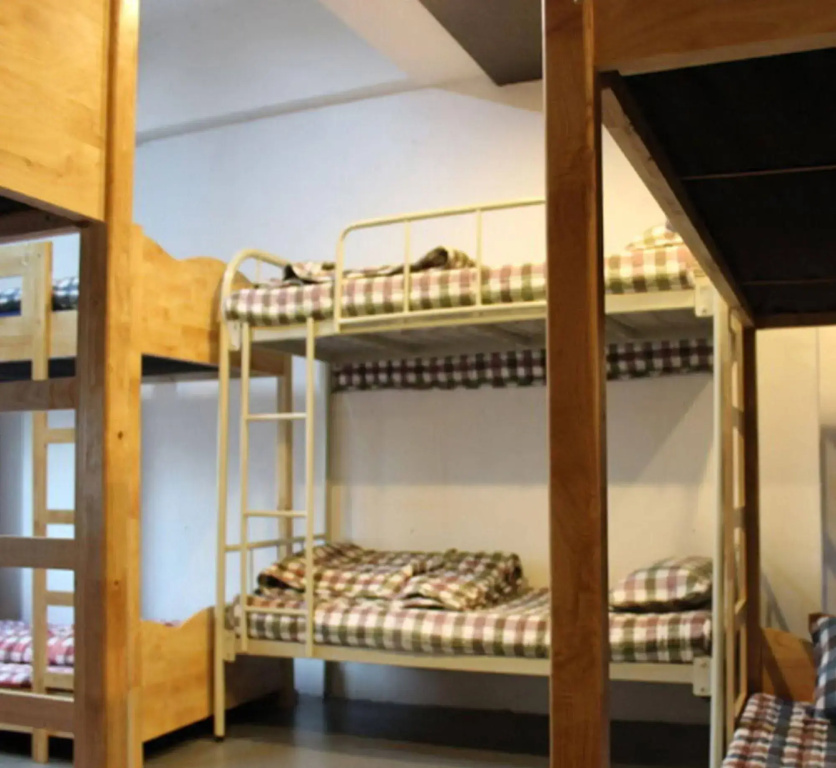 Mamas and Papas Guesthouse and Apartments in Seoul, photo 3