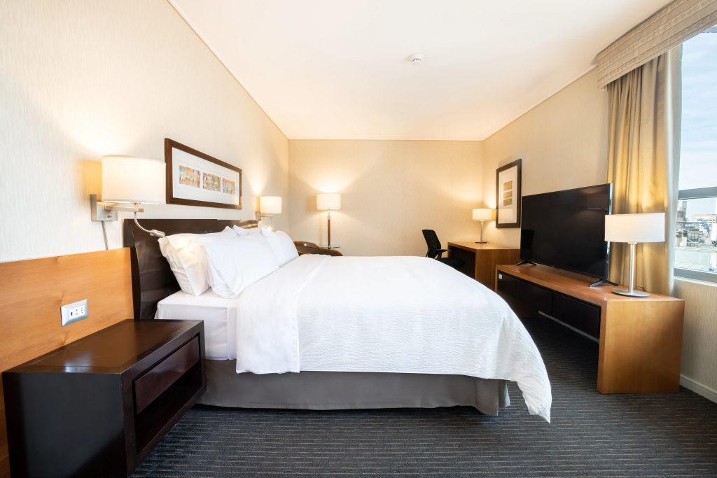 Holiday Inn Express Santiago Las Condes by IHG, photo 5