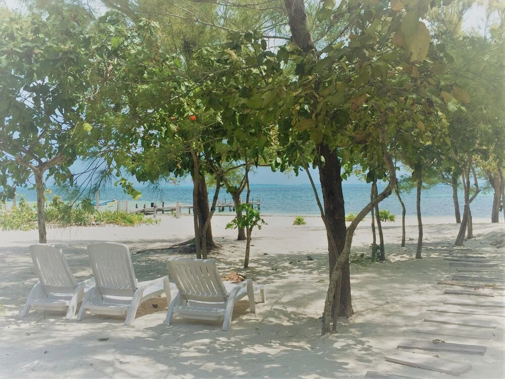 Sea by C - Apartments - Adults Only — photo 7