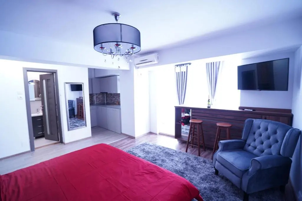 Luxury 1BR studio near Hanul Drumetului Bucharest, photo 2