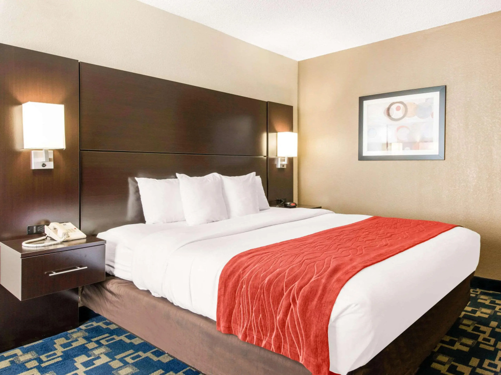 City Express by Marriott Orlando International Drive — photo 3