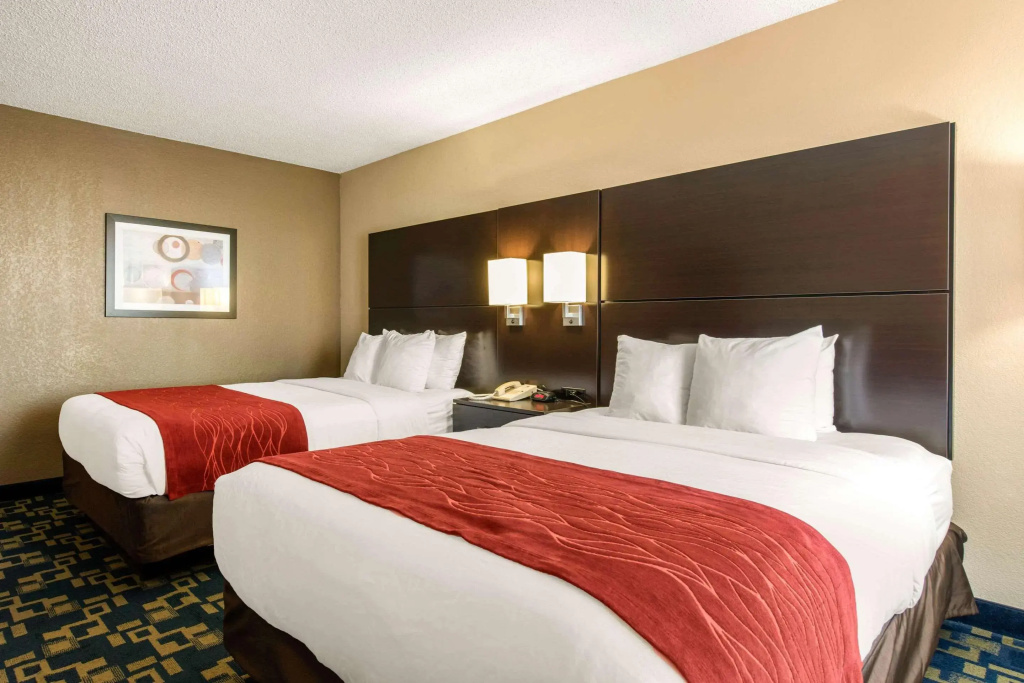 City Express by Marriott Orlando International Drive — photo 5