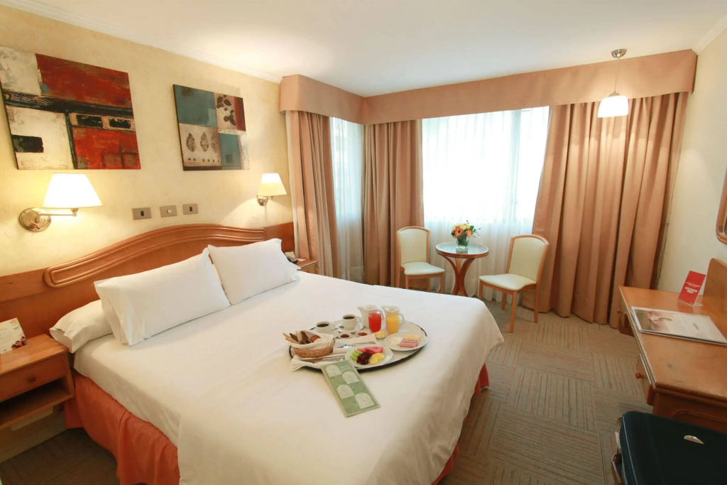 Hotel Torremayor Lyon, photo 4