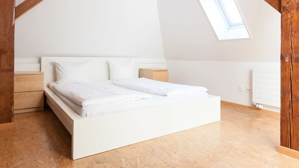 Apartments Swiss Star Sihlfeld — photo 6