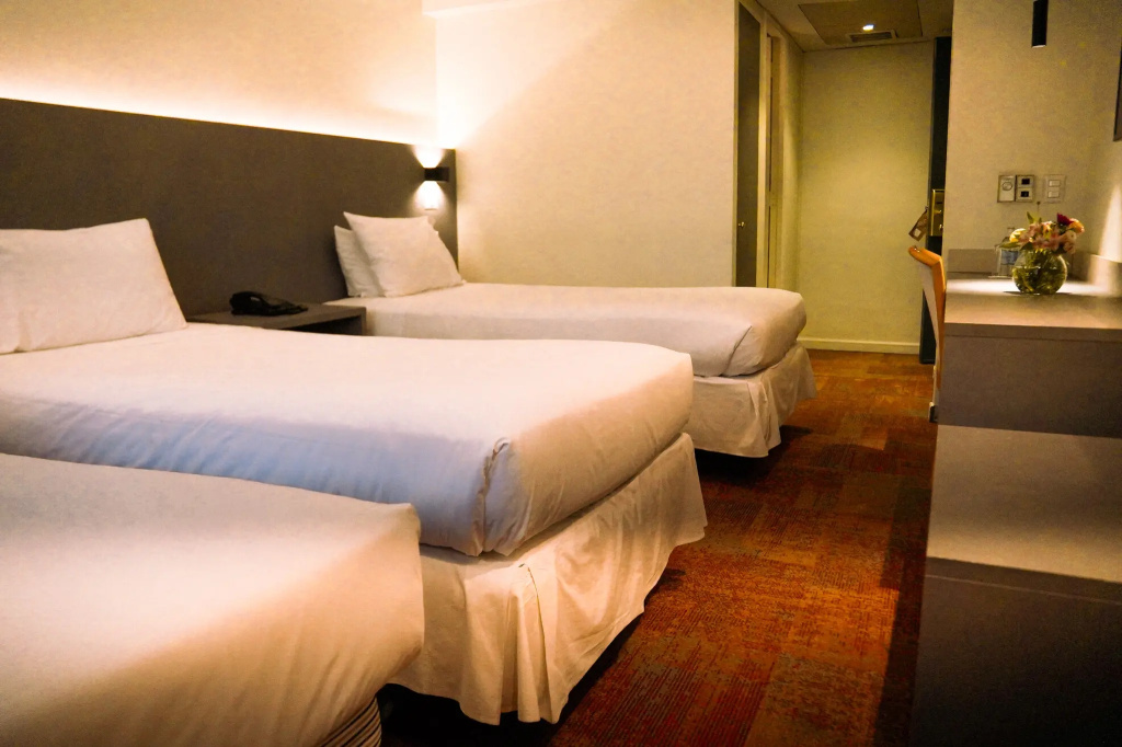 Hotel Torremayor Lyon, photo 5