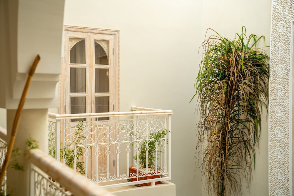 Riad Jaia — photo 7