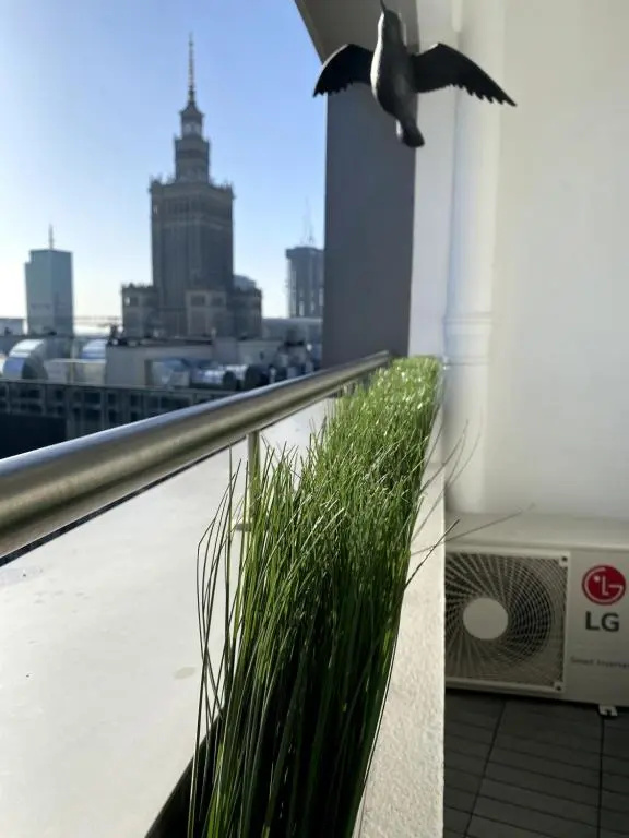 Leo Apartment — photo 4