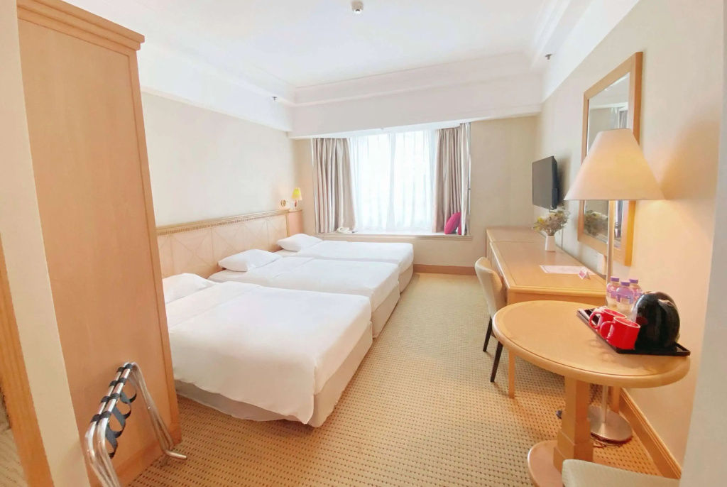 Ramada by Wyndham Hong Kong Grand View, photo 3