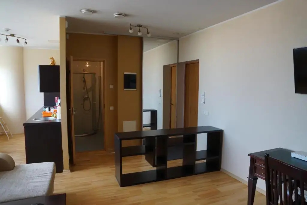 Viru väljak 6 Apartment — photo 4