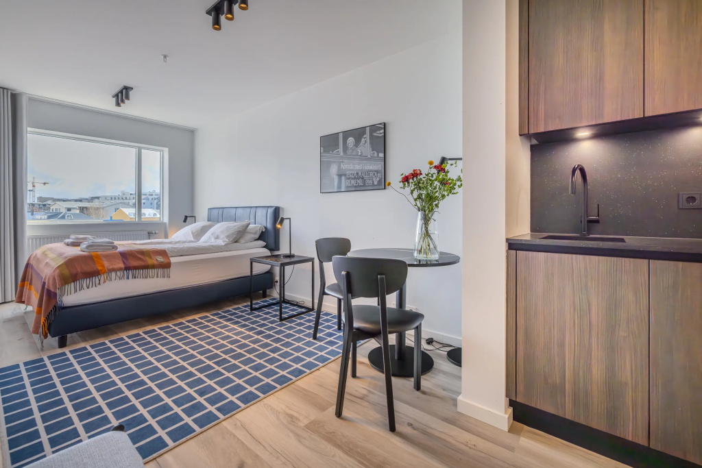 Hlemmur Suites — photo 3